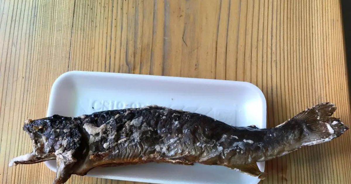 Retty（レッティ）