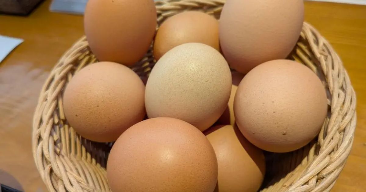 Retty（レッティ）