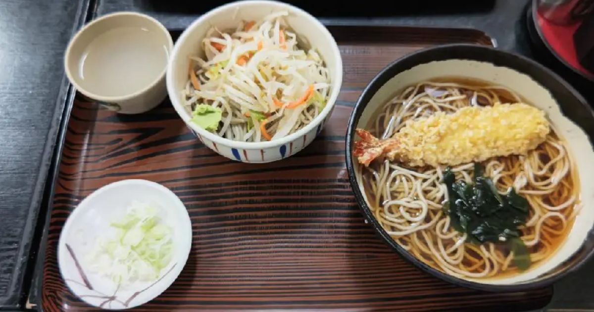 庵野 専用 槌屋ヤック株式会社