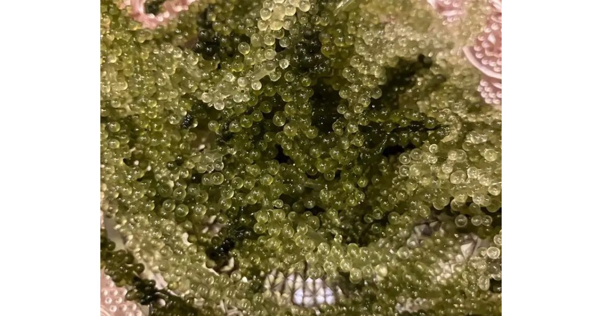 Retty（レッティ）