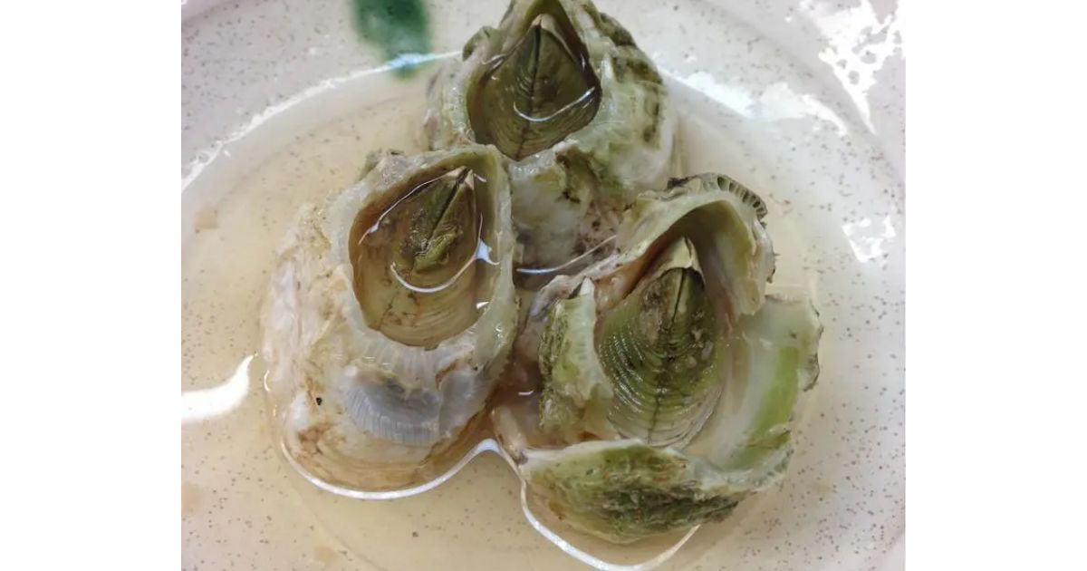 菜のはな 青森市 日本料理 Retty