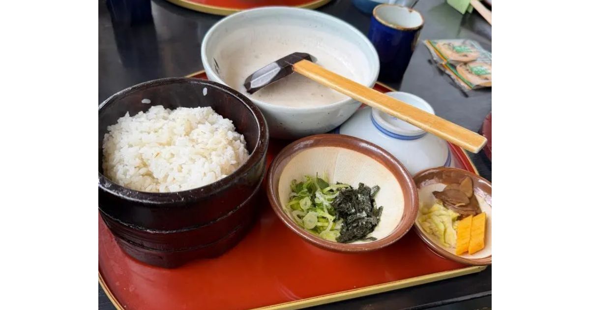 とろろめし 自然薯料理 茶茶 食事券 【公式通販】