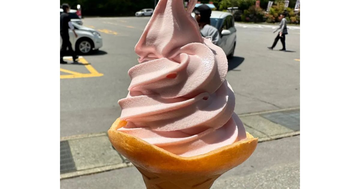 購入 浅間酒造観光センター☆ソフトクリーム引換券等☆草津温泉