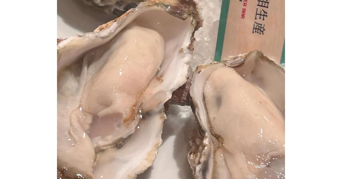 NAGOYA OYSTER BAR(名古屋駅周辺/洋食) - Retty