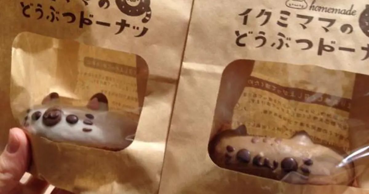 猫だ カフェ お台場 カフェ Retty
