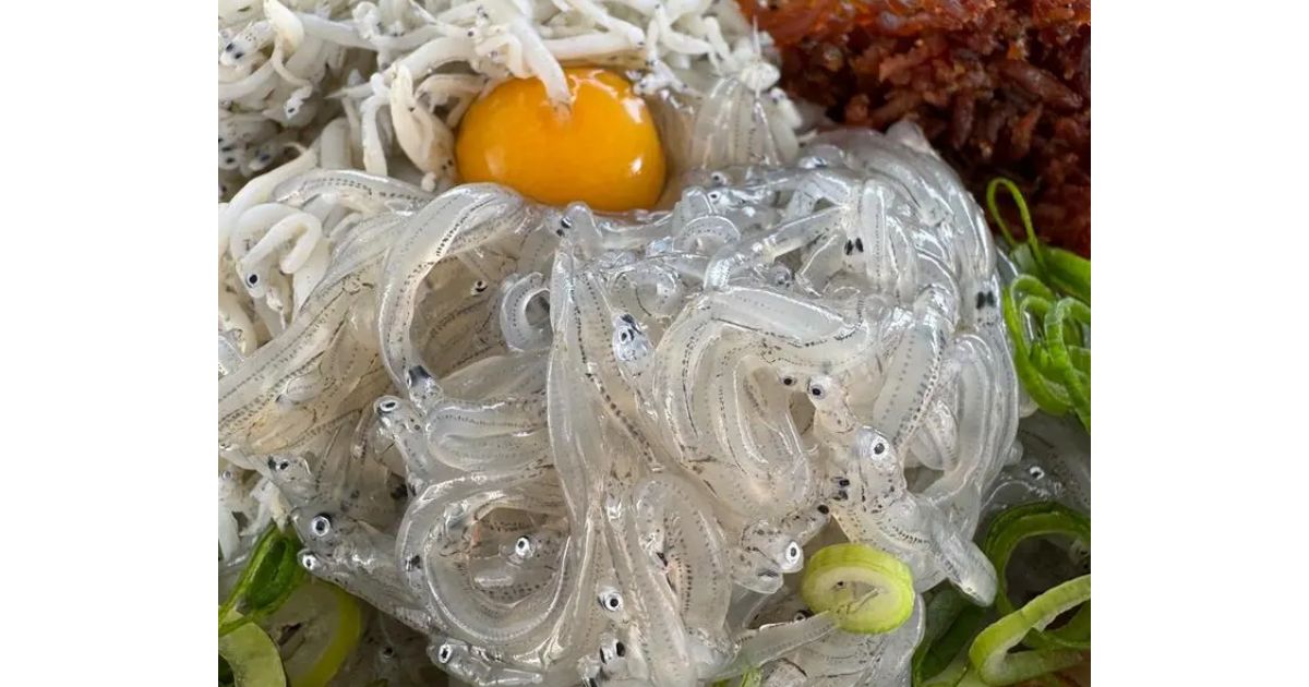 豊洋丸 佐伯 魚介 海鮮料理 Retty