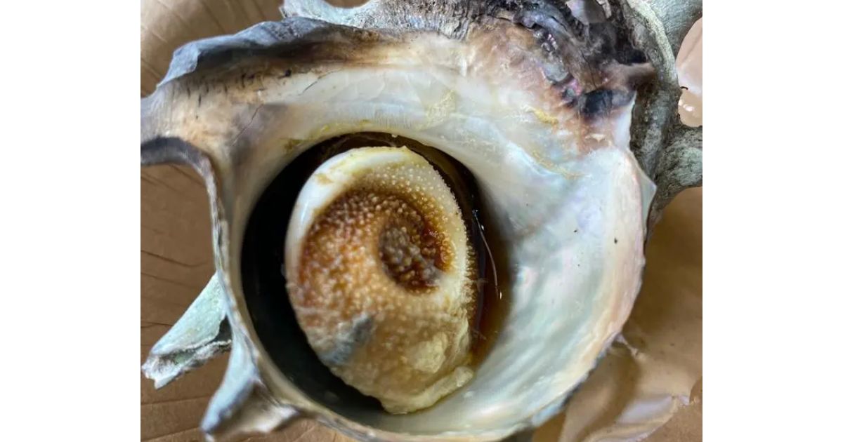 Retty（レッティ）