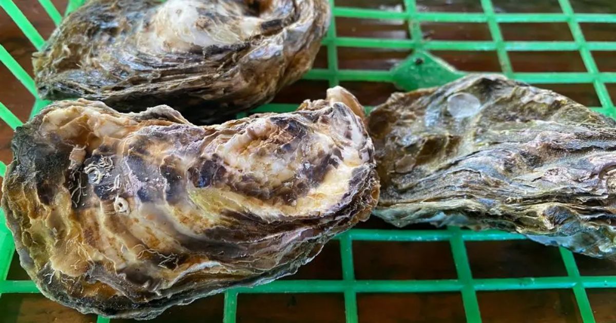 Retty（レッティ）