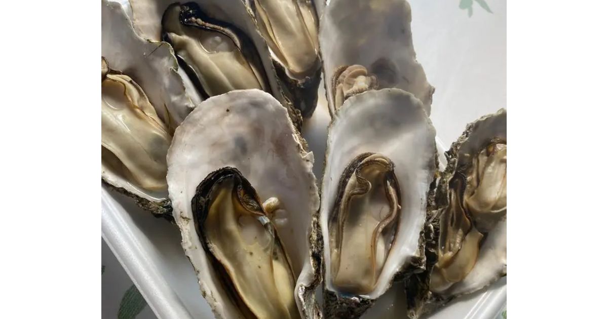 Retty（レッティ）