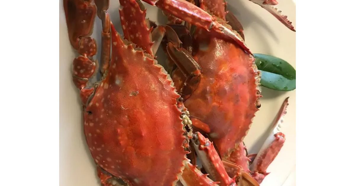 Retty（レッティ）