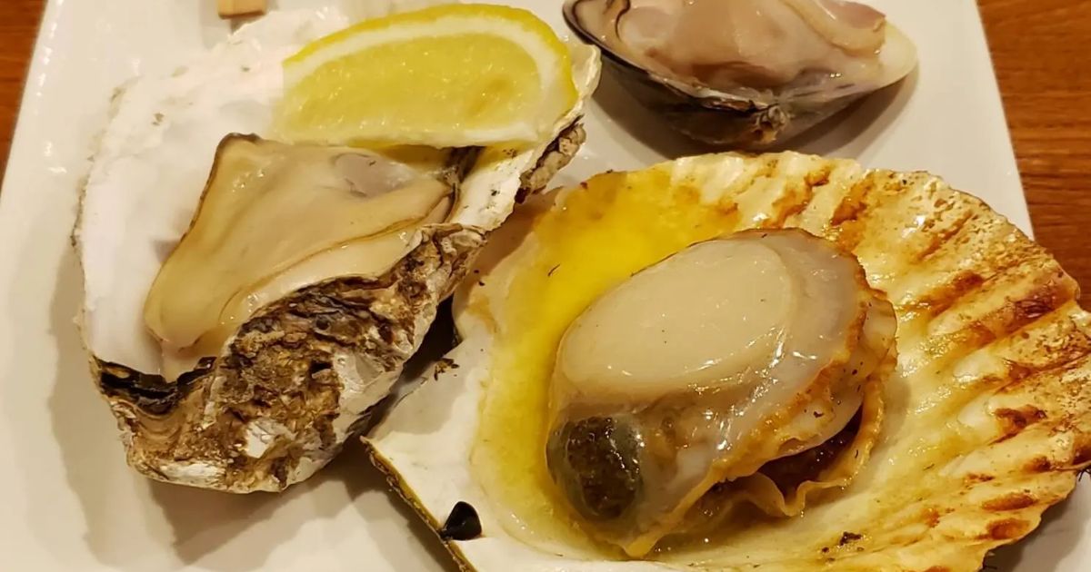 shellbar きさらぎ（函館/魚介・海鮮料理） - Retty