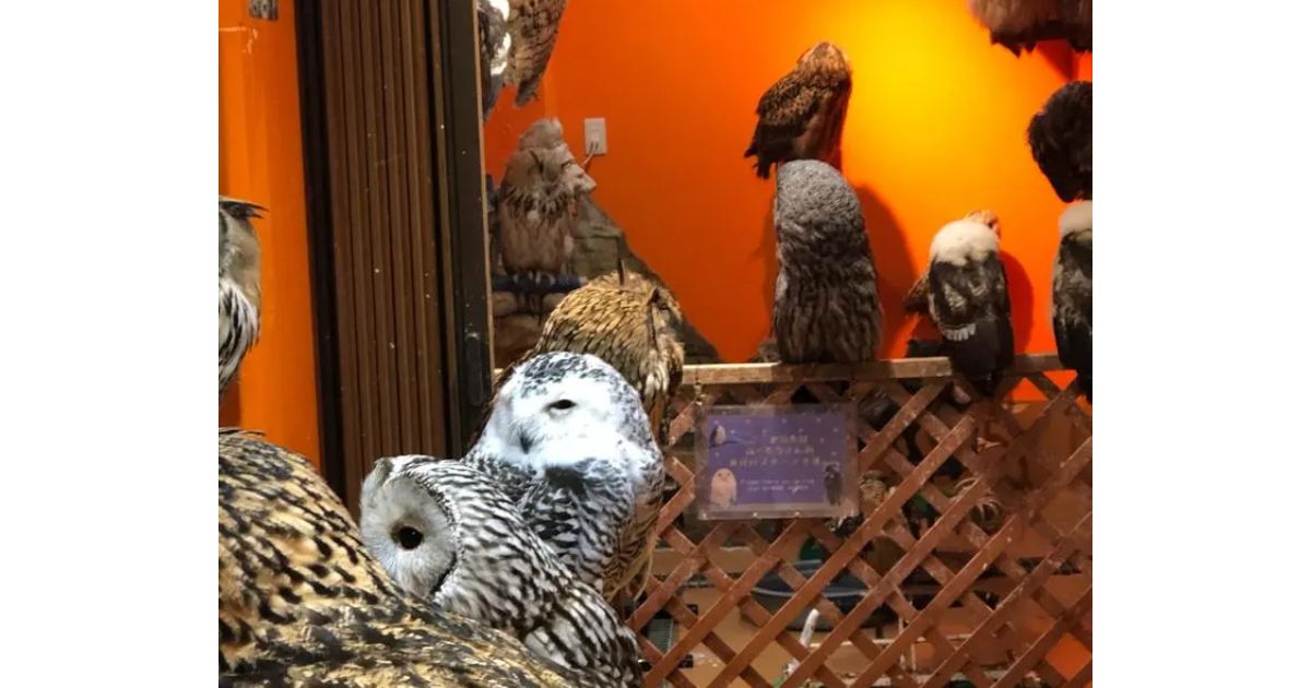 Retty（レッティ）