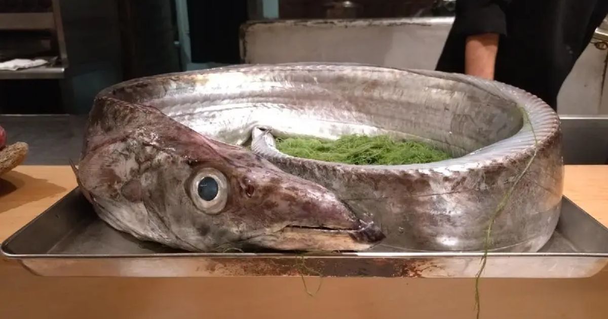 Retty（レッティ）