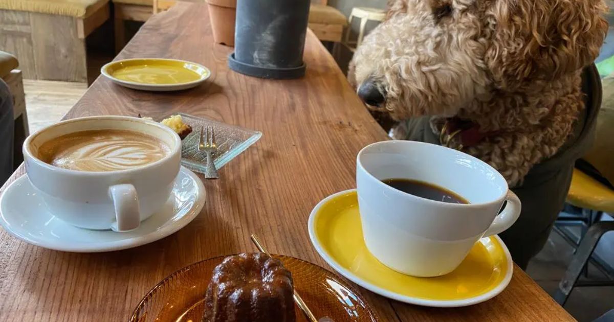 Upup Coffee Shop 横川 カフェ Retty