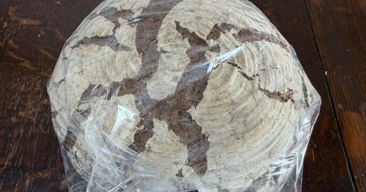 【ぱぱさん専用】PaleNeØ