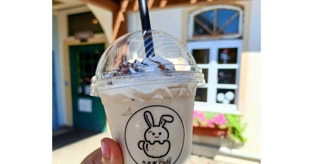 うさぎcafe うさぎとCafe🐰うさぎカフェ on X: 