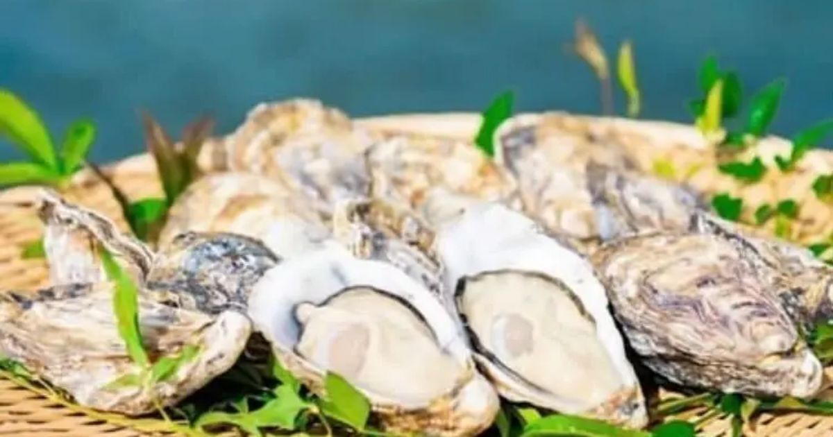 専門魚貝料理大辞典 楽天市場】【中古】専門魚貝料理大事典 春・夏・秋・冬・萃の5冊